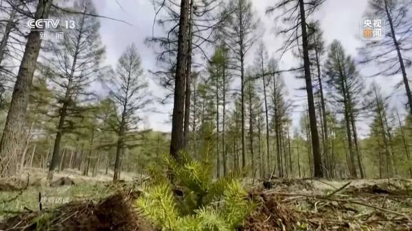 1744016586966707.jpg 6.jpg