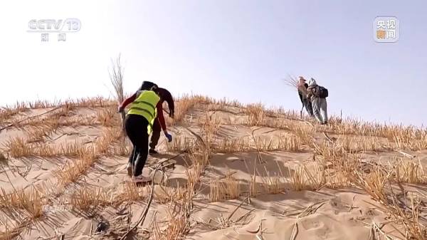 1744016597627468.jpg 8.jpg