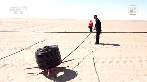 1744016603743399.jpg 9.jpg