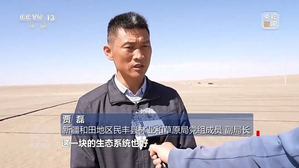 1744016610345497.jpg 10.jpg