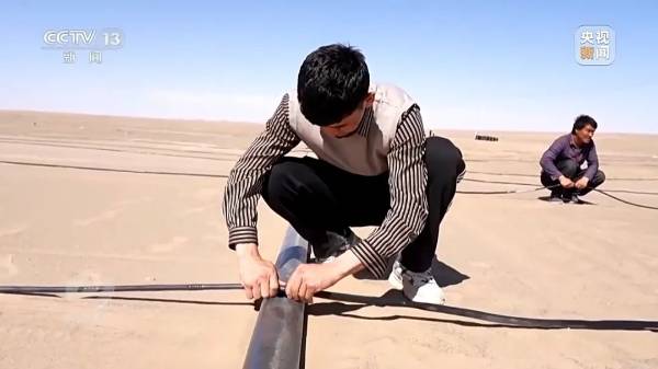 1744016619834242.jpg 11.jpg