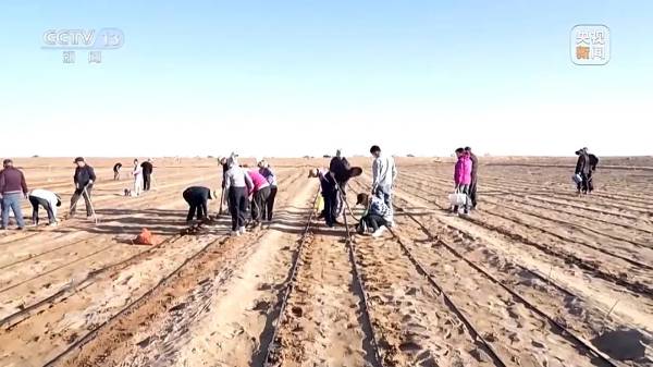 1744016639525307.jpg 14.jpg