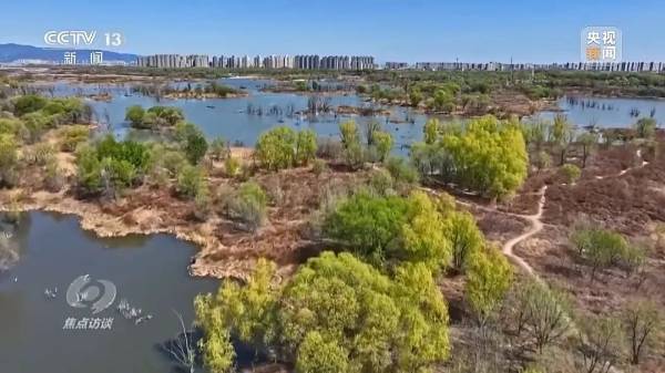 1744016654964506.jpg 16.jpg