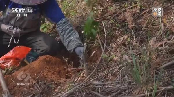 1744016666325514.jpg 18.jpg