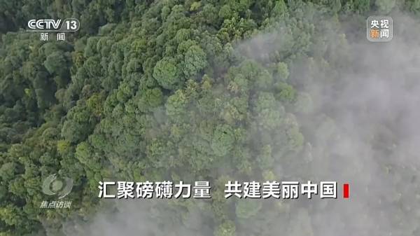 1744016682584313.jpg 19.jpg