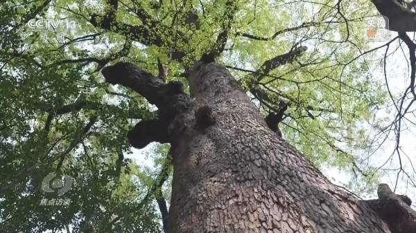 1744016696184076.jpg 21.jpg