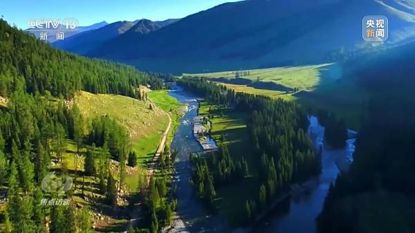 1744016717442544.jpg 24.jpg