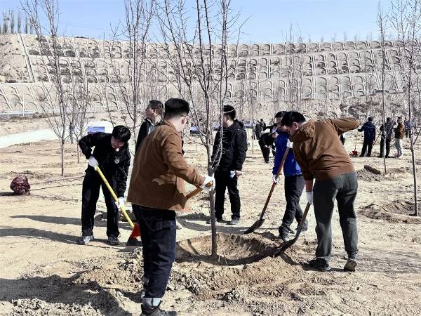 1744083650935638.jpg 1.jpg