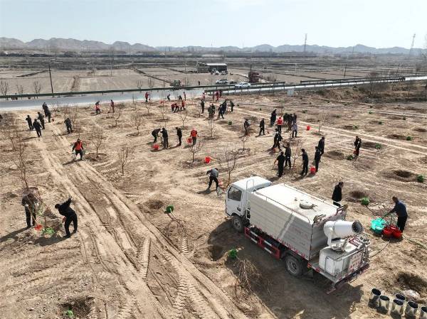 1744083691714147.jpg 2.jpg