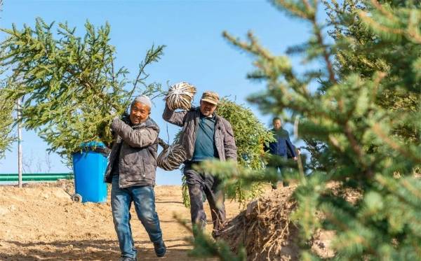 1744083697337513.jpg 3.jpg