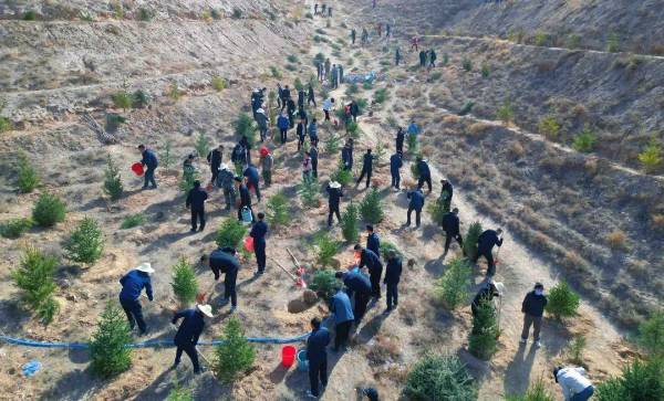 1744083703208370.jpg 4.jpg