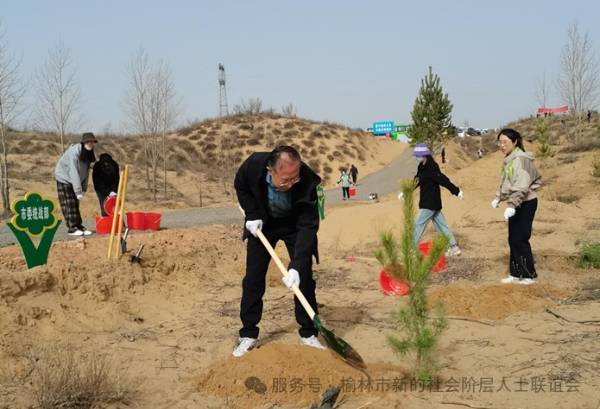 1744088738947864.jpg 6.jpg