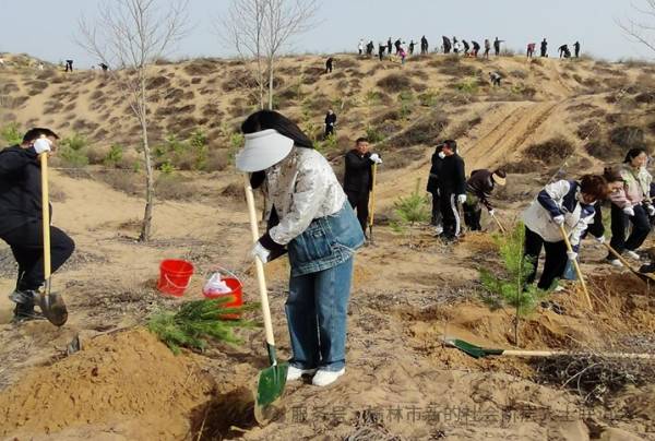 1744088779517495.jpg 9.jpg