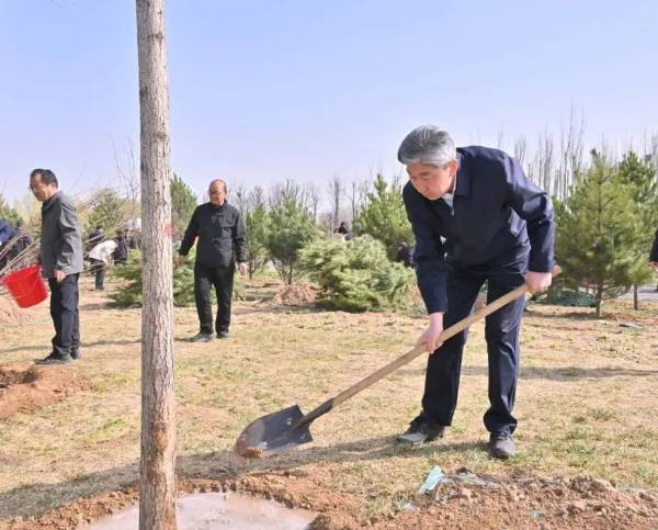 1744089306439990.jpg 10.jpg