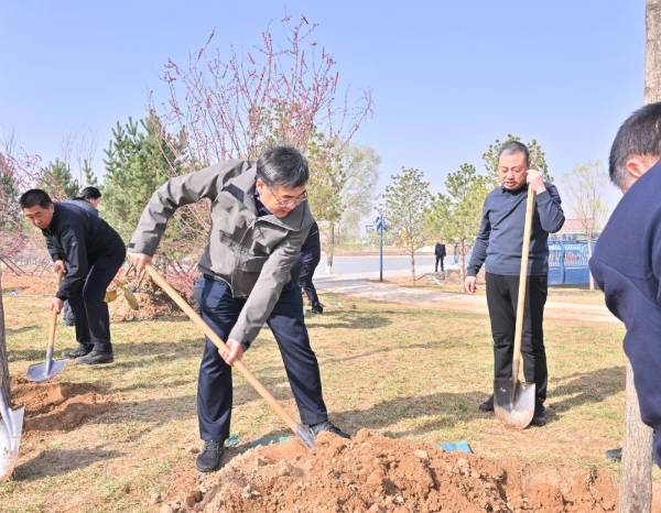 1744089317701667.jpg 11.jpg