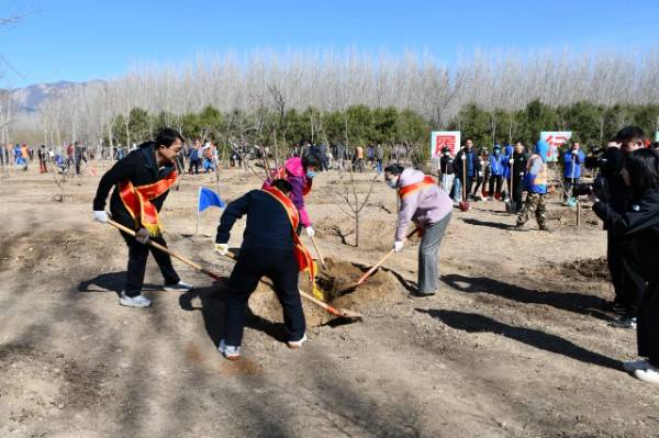 1744089782276680.jpg 1.jpg