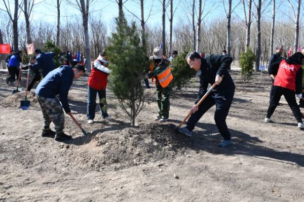 1744089786922108.jpg 2.jpg