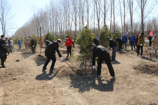 1744089790929878.jpg 3.jpg