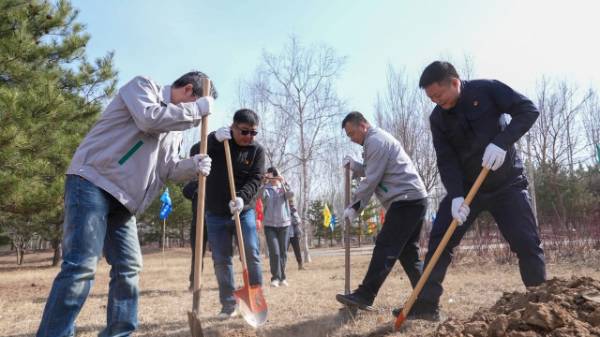 1744089808717044.jpg 5.jpg