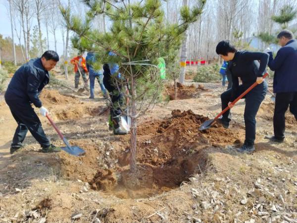 1744089818648855.jpg 6.jpg