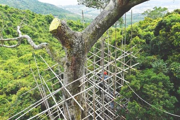 1744175668144041.jpg 1.jpg