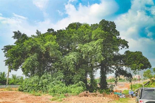 1744175748655940.jpg 4.jpg