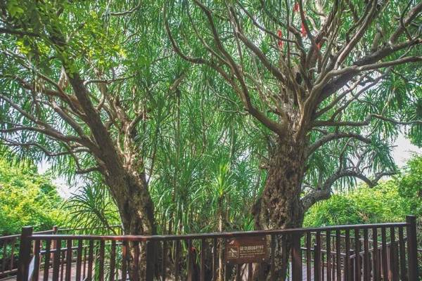 1744175786231542.jpg 3.jpg