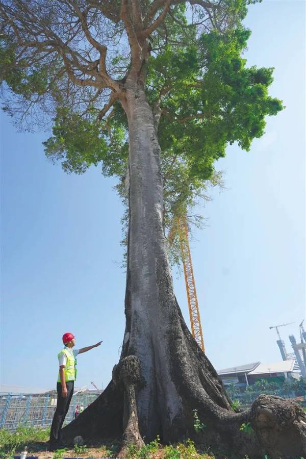 1744175805949018.jpg 5.jpg