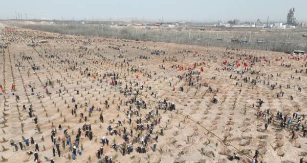 1744176465543380.png 1.png