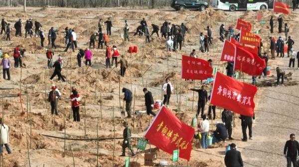 1744176478142008.jpg 2.jpg