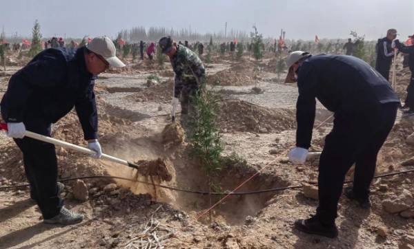 1744176484751678.jpg 3.jpg