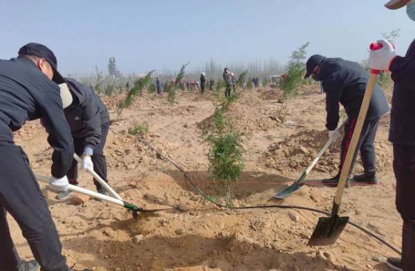 1744176490269247.jpg 4.jpg