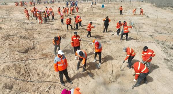 1744176497710275.png 5.png