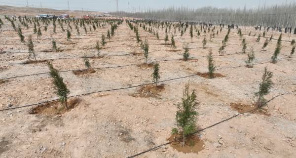 1744176522797693.png 11.png