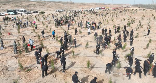 1744176547446402.png 6.png