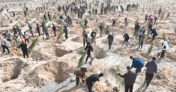 1744176551771575.png 7.png