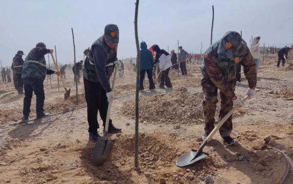 1744176558634337.jpg 8.jpg