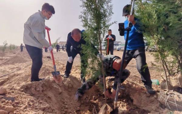 1744176569104535.jpg 9.jpg