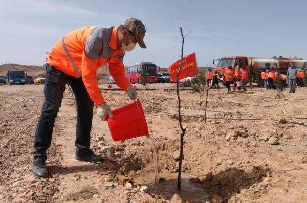 1744176574228306.jpg 10.jpg