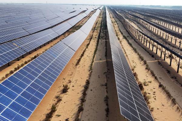 1744176908105124.jpg 2 (1).jpg