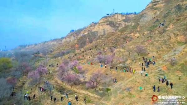 1744177369275607.jpg 3 (1).jpg