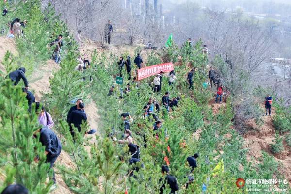 1744177376191656.jpg 4 (1).jpg