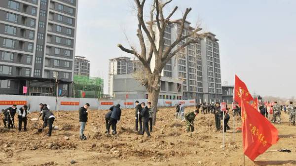 1744177857257943.jpg 3 (1).jpg