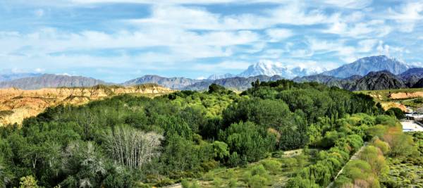 1744178360521874.png 2.png