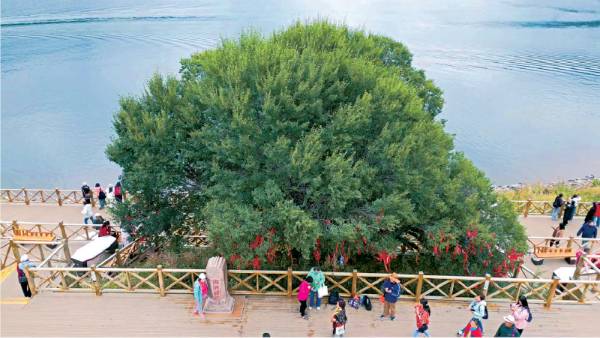 1744178420694080.png 3.png