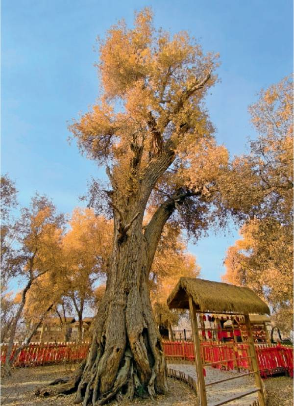 1744178442244035.png 4.png