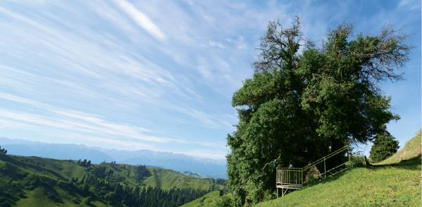 1744178487499319.png 5.png