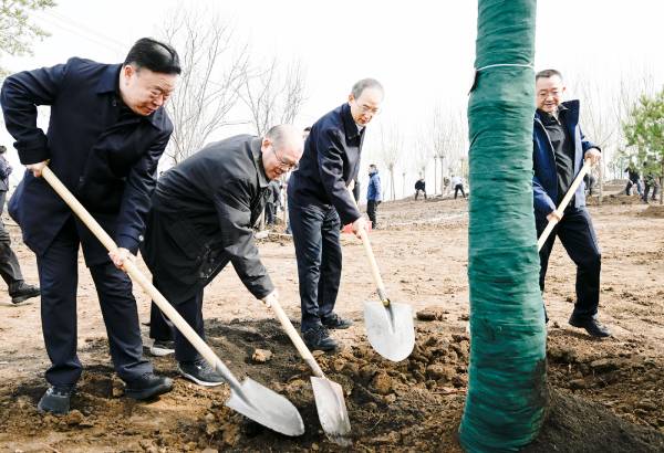 1744252603246235.jpg 2 (1).jpg