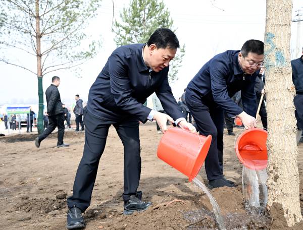 1744252616407290.jpg 3 (1).jpg