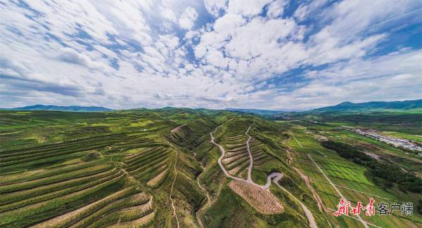 1744262457685491.jpg 6 (1).jpg